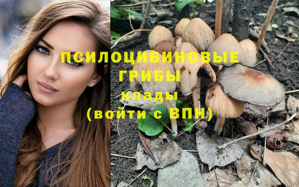 прущая мука Зеленодольск